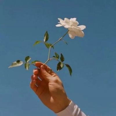 无双剑尊手游果盘下载